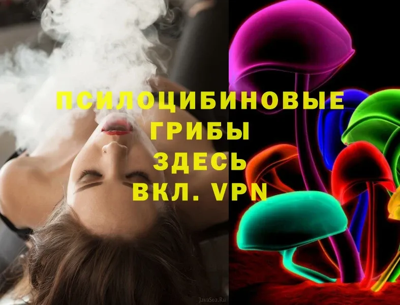 Псилоцибиновые грибы Magic Shrooms  кракен как зайти  Камышин  закладка 